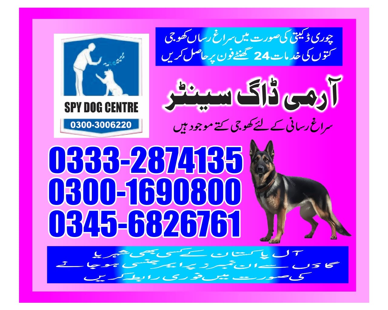 Army Dog Center | Pakistan | 03003406220  | 033328...